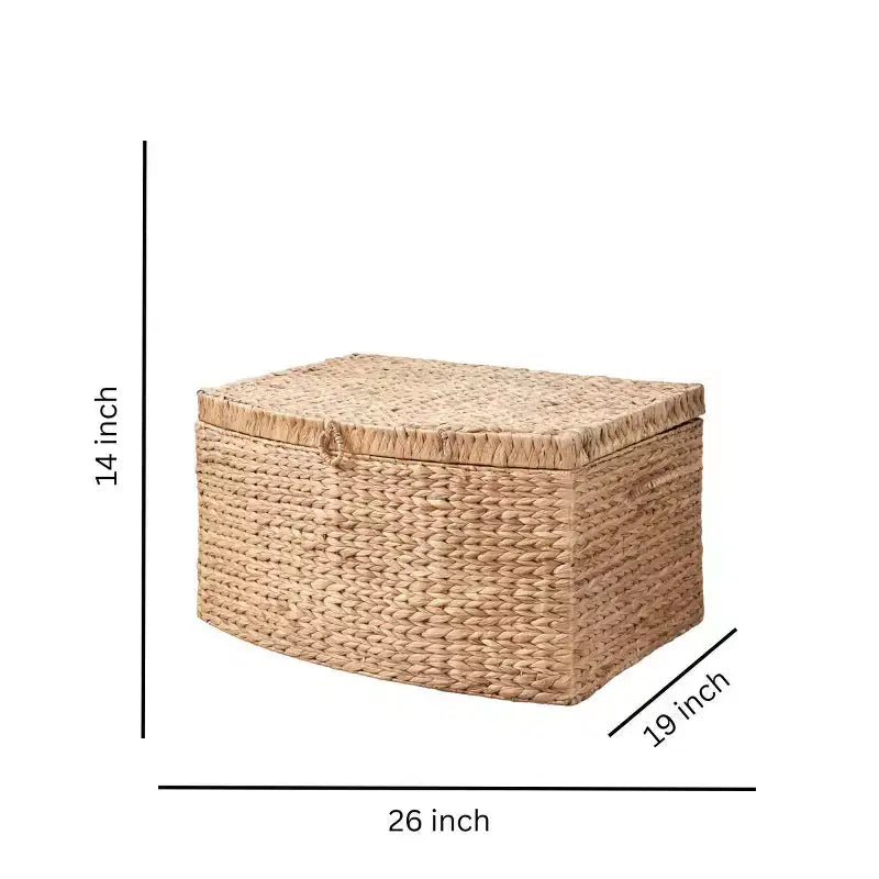 SOL HOME Baule Rettangolare in Giunco di Giacinto d'Acqua Ludmilla 26"x19"x14" Marrone Naturale: Contenitore, Telaio in Ferro