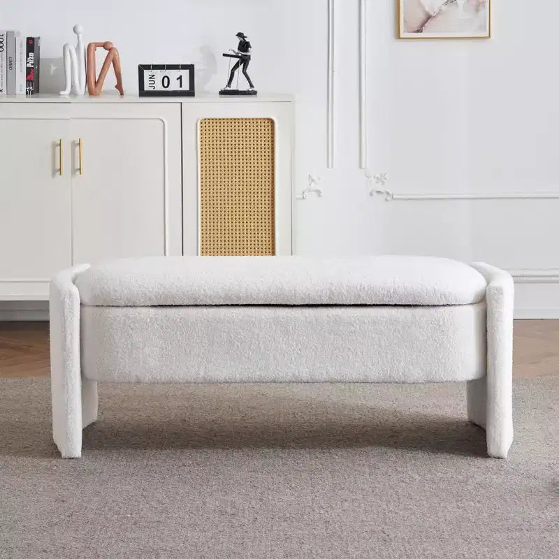 Panca Contenitore Grande Versatile TUYOHW: Spaziosa, Durevole ed Elegante per Ogni Stanza, Beige