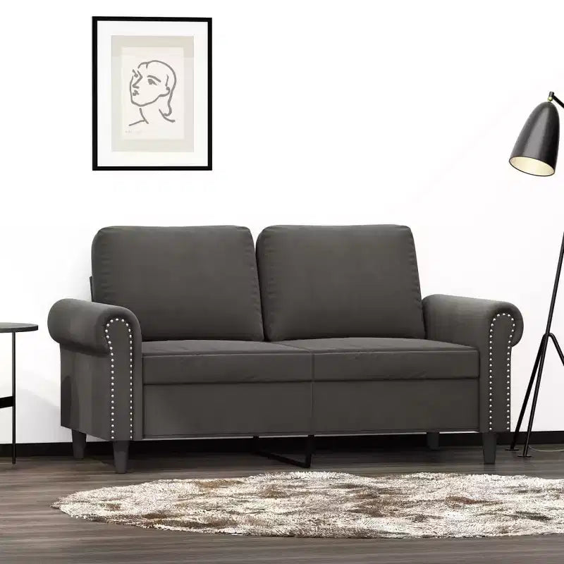 vidaXL Divano moderno a 2 posti in lussuoso velluto grigio scuro con robusto telaio in metallo e compensato - Comodo, elegante e facile da montare.