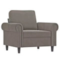 vidaXL Sofa Chair Light Gray Velvet (100% polyester), Plywood, Metal, Foam