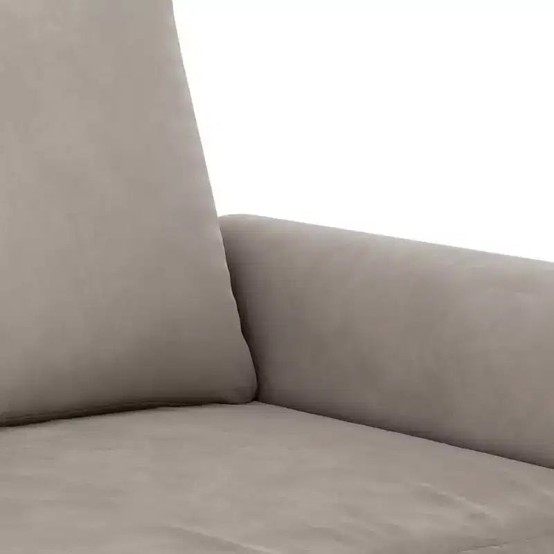 vidaXL Poltrona grigio chiaro in velluto (100% poliestere), compensato, metallo, gommapiuma