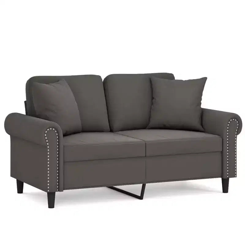 vidaXL Velvet 2-Seater Sofa with Pillows and Cushions in Dark Gray - Cozy, Modern Design for Living Room, Lounge, or Home Office