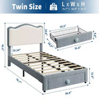 Letto per bambini imbottito Twin Size con testiera curva, cassetto portaoggetti, tessuto in velluto, robuste doghe in legno, nessun bisogno di rete a molle