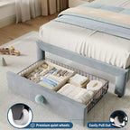 Letto per bambini imbottito Twin Size con testiera curva, cassetto portaoggetti, tessuto in velluto, robuste doghe in legno, nessun bisogno di rete a molle