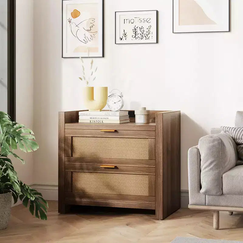Set di 2 comodini, comodino moderno, comodini con 2 cassetti in PE Rattan, comodini in rattan per camera da letto e soggiorno