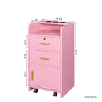 GDFStudio Estelle Mobiletto Moderno per Salone di Bellezza con 3 Supporti per Asciugacapelli, 2 Cassetti, 1 Anta e Ruote