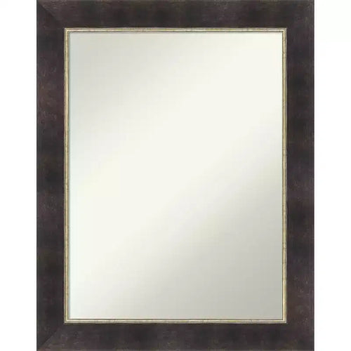 Amanti Art Odin Antique Bronze Non-Beveled Wood Framed Bathroom Vanity Wall Mirror