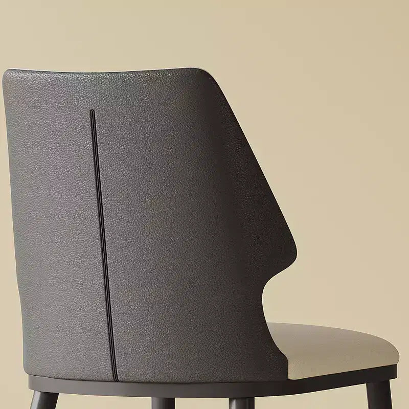 Set di 2 sedie da pranzo imbottite senza braccioli sedie d'accento - Modernluxe