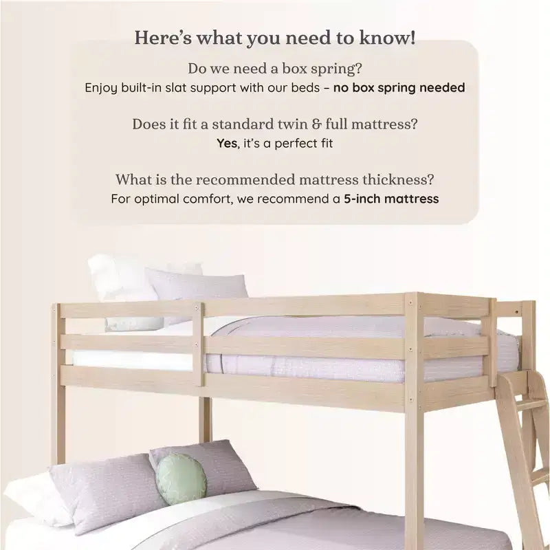 Letto a castello basso Bear Plywood a una piazza e mezza/matrimoniale
