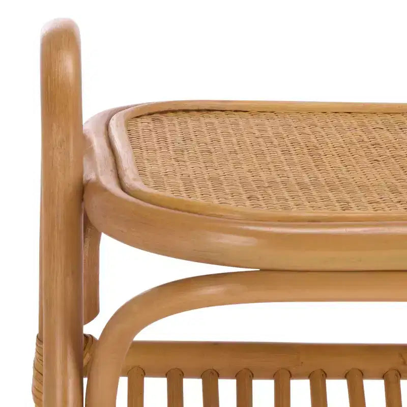Tavolino contenitore portariviste Bayard in rattan - CWK3017 - Naturale - Safavieh Couture