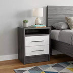 HomeRoots Comodino a due cassetti in legno grigio 20