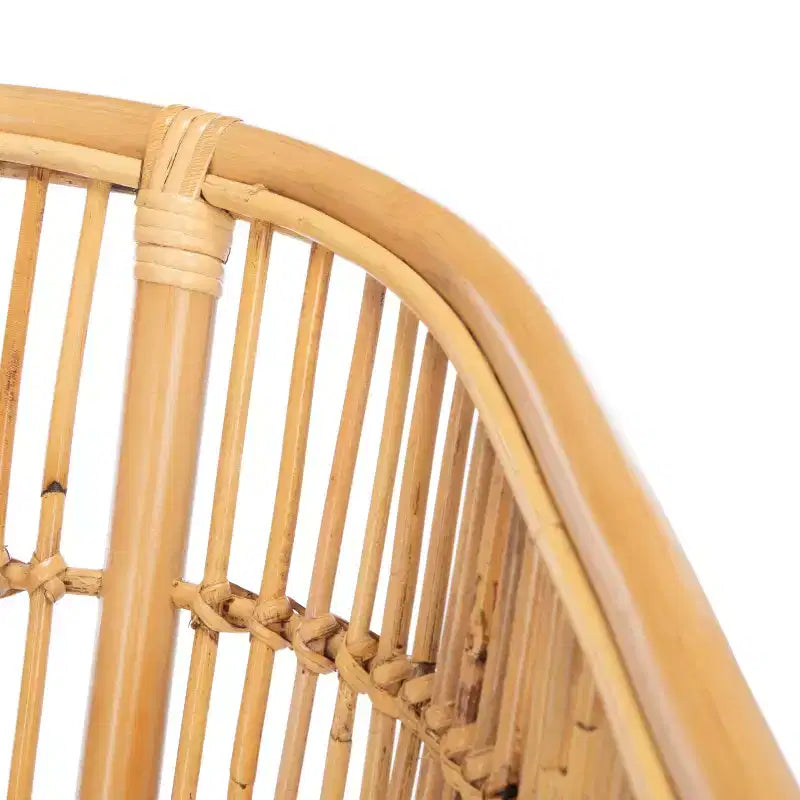 Sedia accent Olivia in rattan con cuscino - ACH6516 - Safavieh