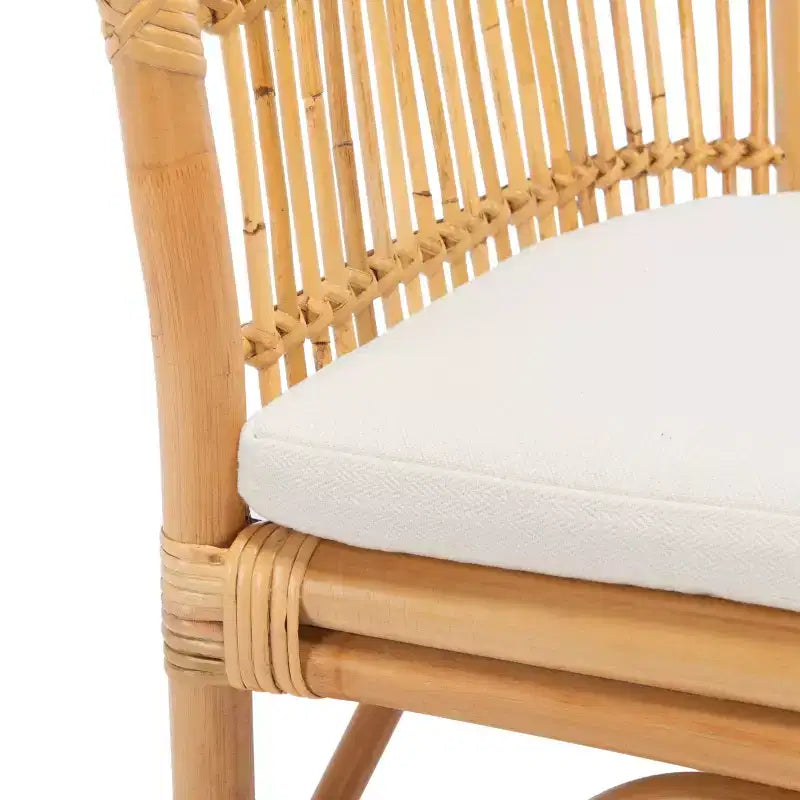 Sedia accent Olivia in rattan con cuscino - ACH6516 - Safavieh