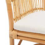 Sedia accent Olivia in rattan con cuscino - ACH6516 - Safavieh