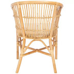 Sedia accent Olivia in rattan con cuscino - ACH6516 - Safavieh