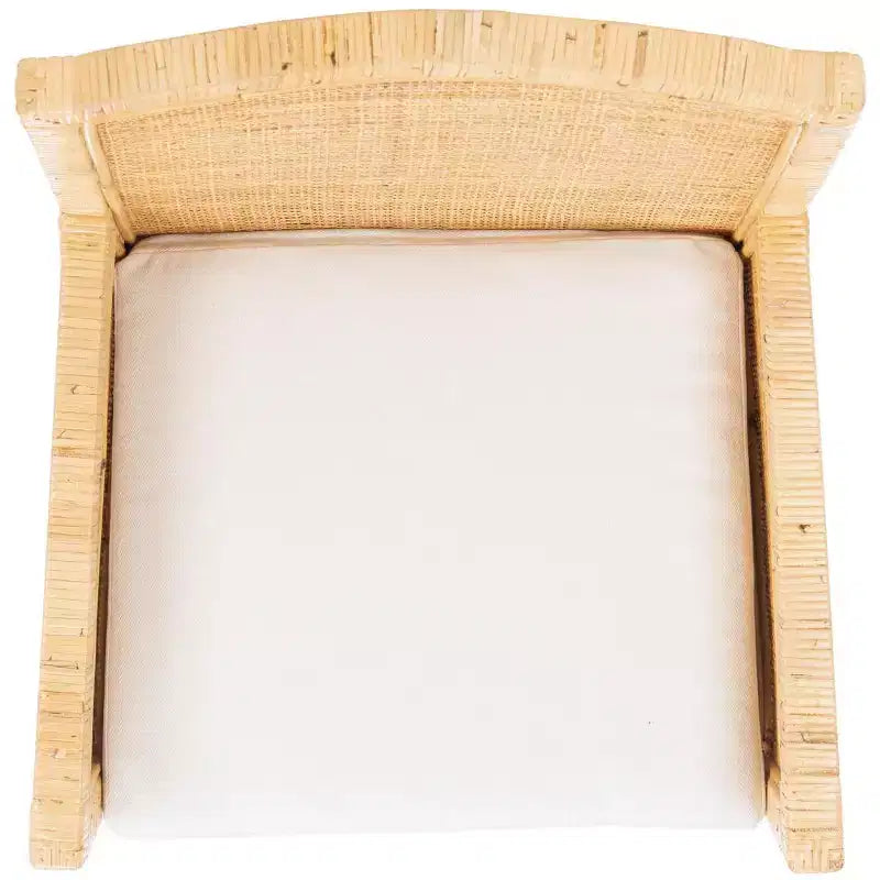 Poltrona Sarai con cuscino - ACH6520 - Safavieh