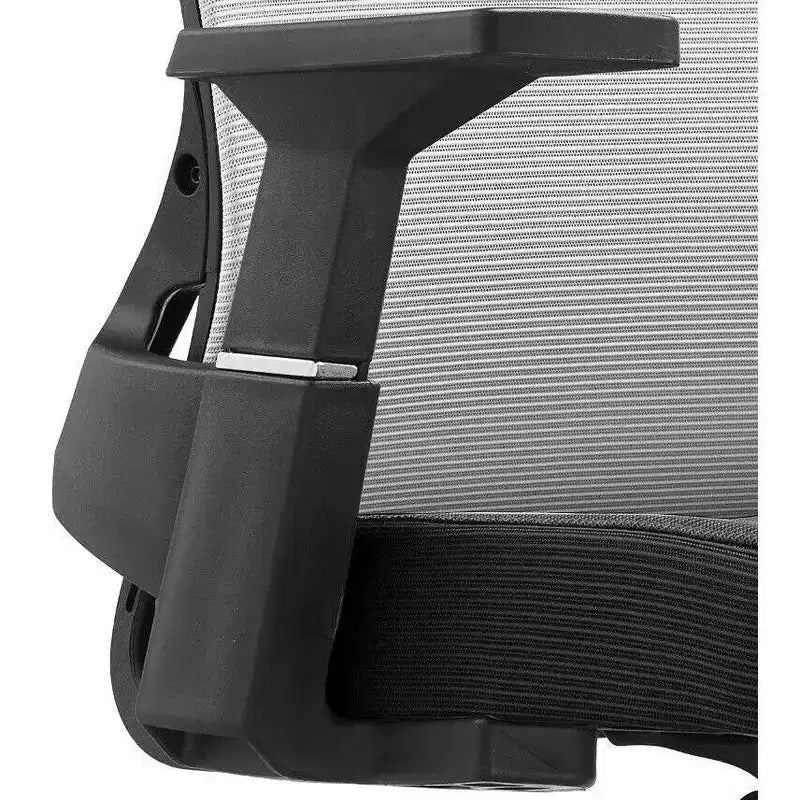 LeisureMod Brio Sedia da ufficio ergonomica in rete - Supporto lombare traspirante - Sedia da scrivania per computer girevole e reclinabile regolabile