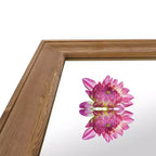 WallBeyond Specchio in Legno Lavato Naturale