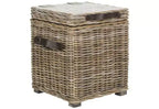 Merlie Trunk - SEA7037 - Bianco - Safavieh