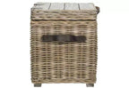 Merlie Trunk - SEA7037 - Bianco - Safavieh